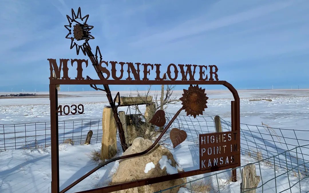 🏞️ 카니가사와 공원 이미지 7